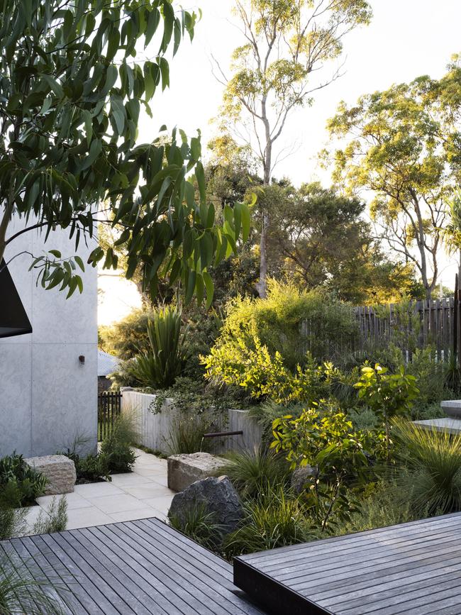 Looking out over the garden. Picture: Brigid Arnott