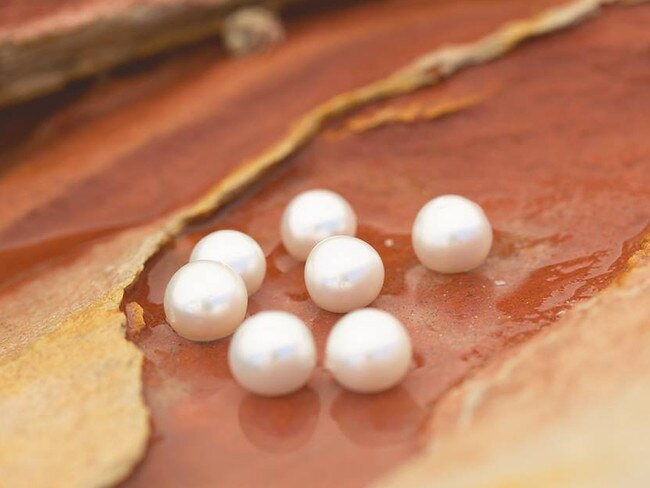 Close-up image of pearls resting in what looks like an oyster, Willie Creek, Broome. Credit: Willie Creek's facebook