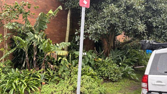 The garden is located in densely populated Bondi Junction.
