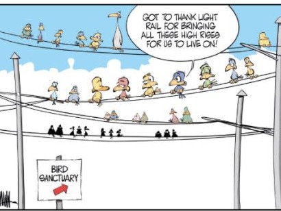 Craig Mann's cartoon Saturday, June 19