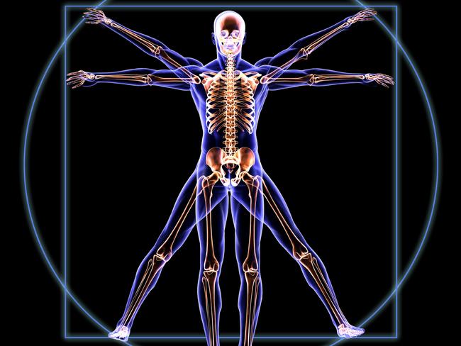 Human skeleton body of The Vitruvian Man. Istock