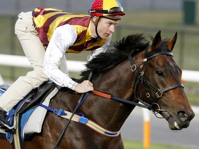 Preferment ridden by Blake Shinn works at Moonee Valley . Pic: Michael Klein