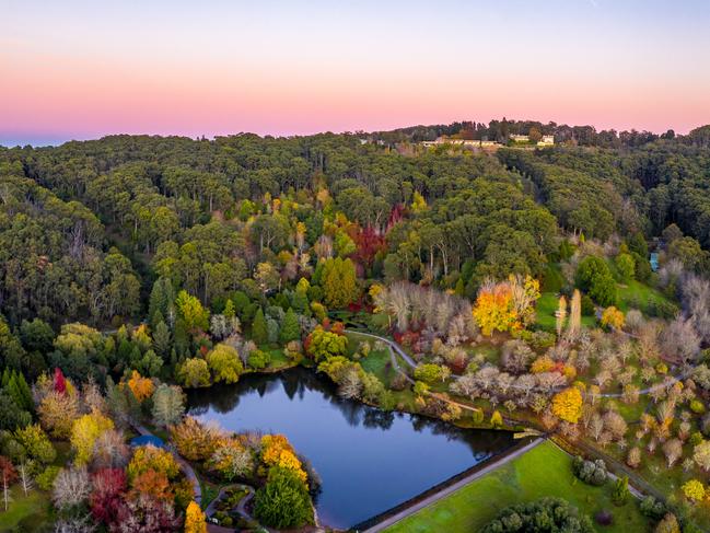 Gorgeous: Mount Lofty Botanic Garden. Picture: Serio