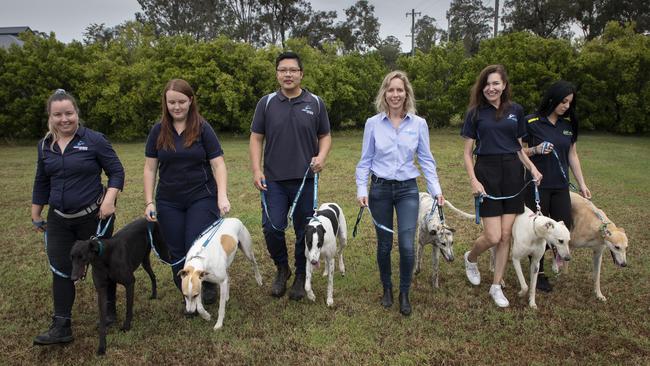 Dr Alicia Fuller (third from right) and the GAPNSW team. Picture: Chris Pavlich.