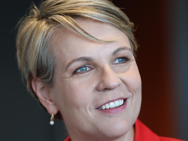 Federal Labor deputy leader Tanya Plibersek. Picture: AAP/Russell Millard