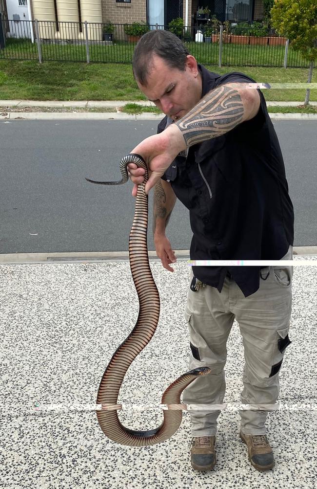 Steven Brown with the snake.