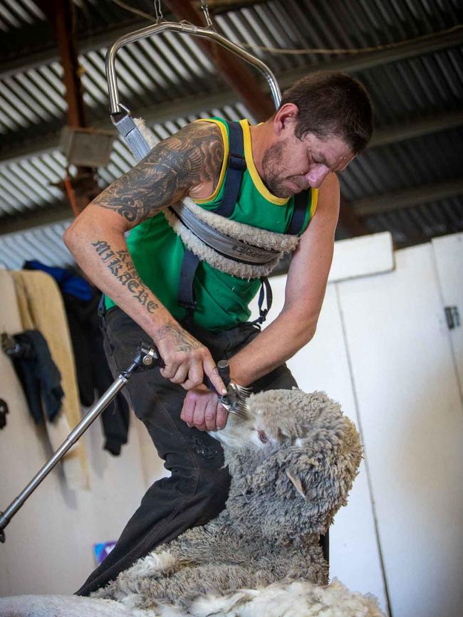 Lenny Deacon shearing sheep during his 24-hour Shearathon to raise money for the Breakthrough Mental Health Research Foundation. Picture : Amy Pysden