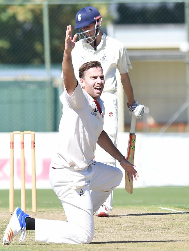 Matt Doric appeals for a wicket. Picture: Josie Hayden.