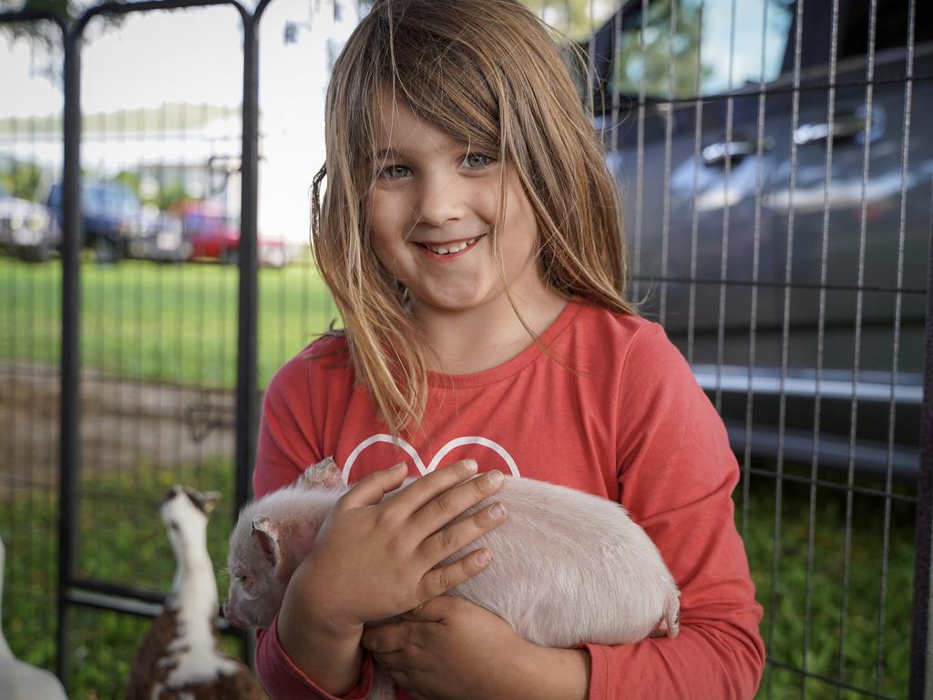 Amity Croswell, 6, of Airlie Beach, enjoying some cuddle time with week-old piglet Paxton from MAD Animal Addiction at the Calen Country Fair, Saturday, May 29, 2021. The Picture: Heidi Petith