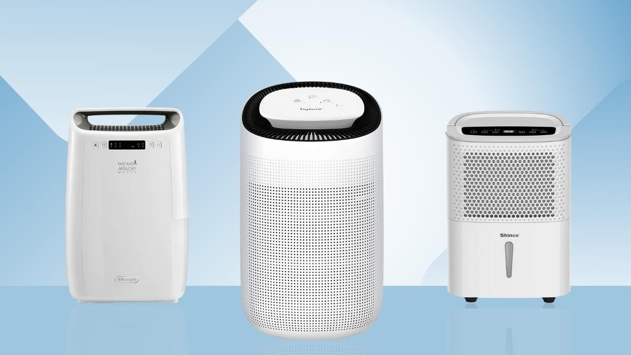 Best dehumidifier deals air purifier