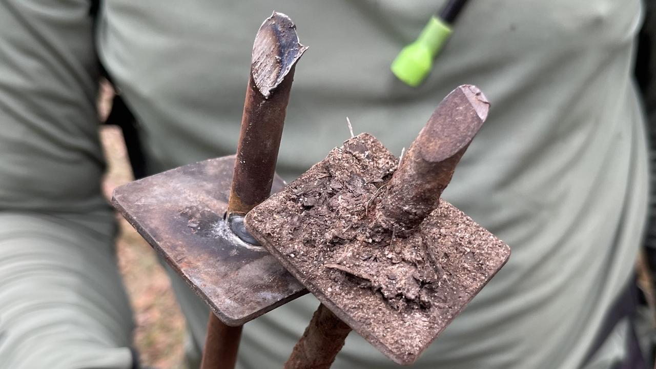 The Queensland Parks and Wildlife Service has increased patrols in Tewantin National Park after multiple metal spikes were found by mountain bikers and rangers near popular trails. Picture: Noosa Trailblazers MTB Club Inc