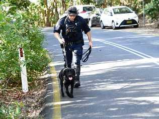 Police with search dogs prepare to search the heavy bushland between Watergoes and The Pass in Byron Bay in the search for missing backpacker Theo Hayez. Picture: Marc Stapelberg