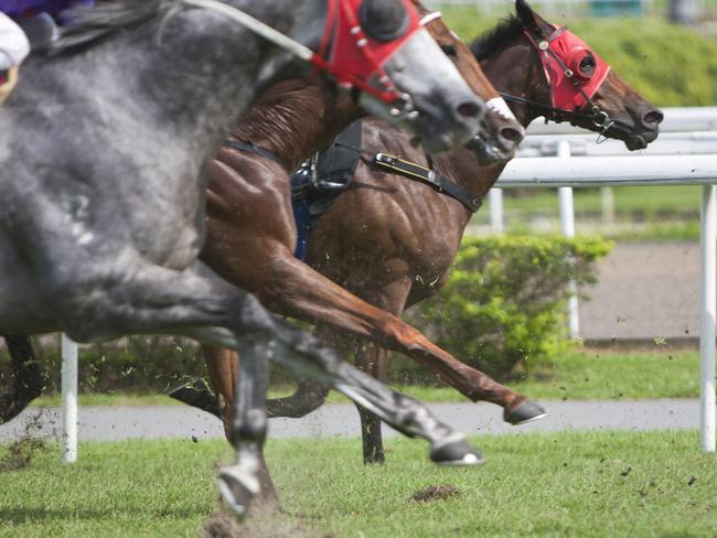 "Horse racing, focus on horse in background, Canon 1Ds mark III"