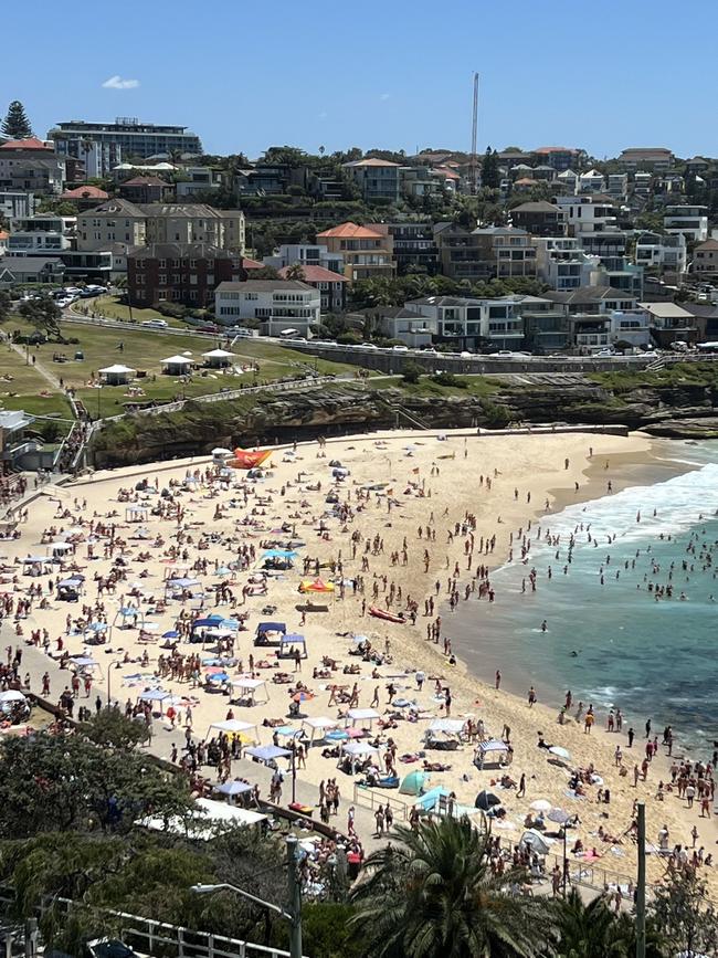 Visitors started flowing in from early morning to set up towels and shade structures. Image: Twitter