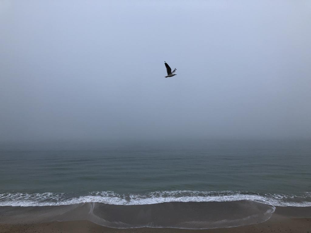 Fog over the ocean at Somerton Park. Picture: Matthew Belperio