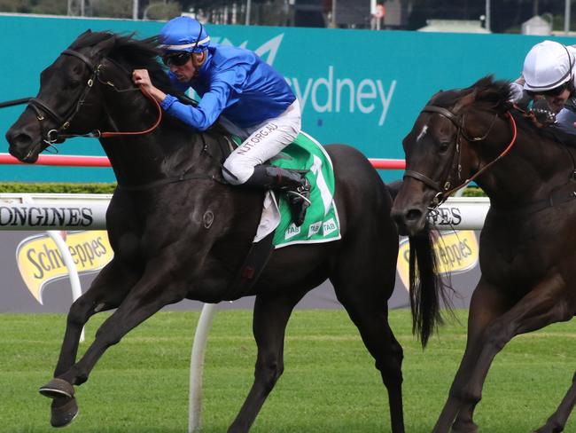 Kementari put the writing on the wall with a strong effort last start and looks a great chance in the Sydney Stakes. Picturte: Grant Guy