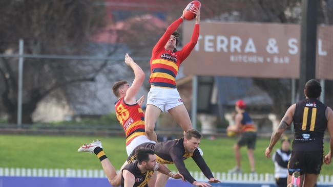 Adelaide’s Luke Nankervis takes a strong mark in his side’s statement-making win against Glenelg at the Bay. Picture: Cory Sutton