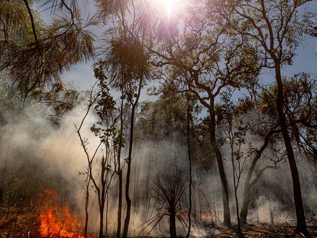 Remains of the bushfire in Noonamah, which surrounded the Hopkins’ home on Monday night. Picture Che Chorley