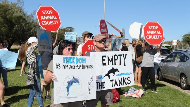 Protestors regularly gather outside Sea World to protest against dolphins being held in captivity. Picture: AAP Image/Richard Gosling