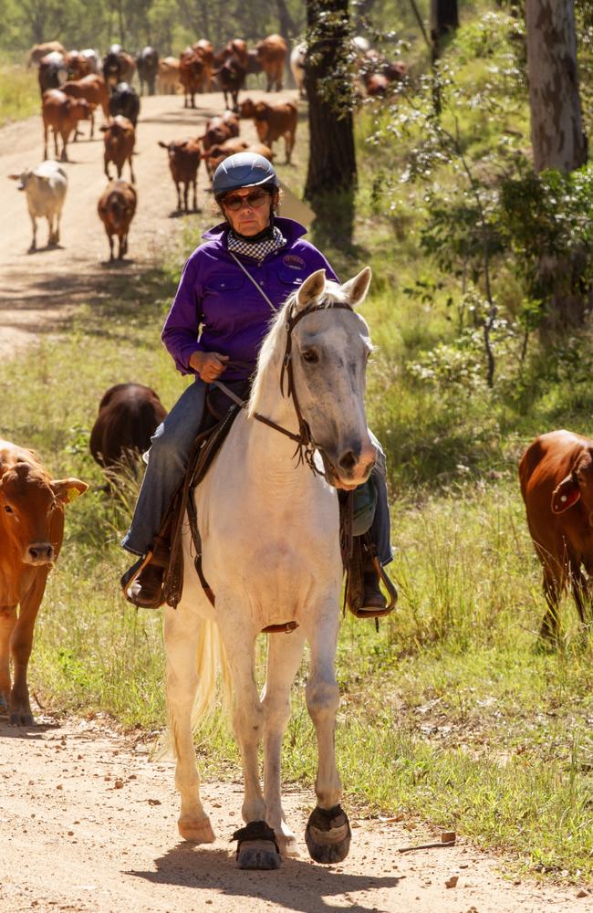 Riders from a variety of backgrounds attended the Eidsvold Cattle Drive 2024