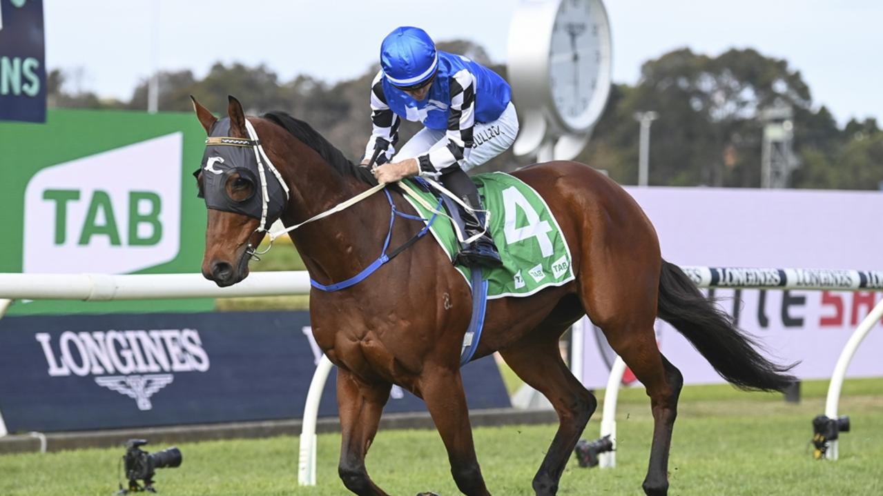 Hit The Rim will appreciate a drop in grade when he returns to his home track on Sunday. Picture: Bradley Photos