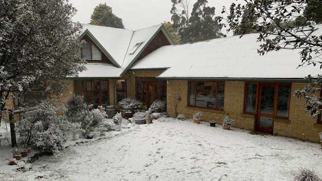 Snow falling thick and fast in Fern Tree, in Hobart, Tasmania on August 4, 2020. Picture: Iain Kelly