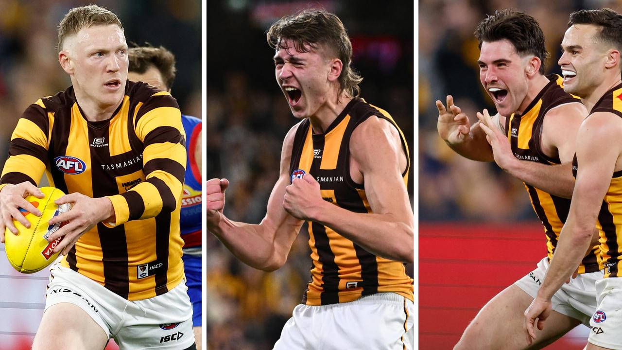 The Hawthorn Hawks player ratings.