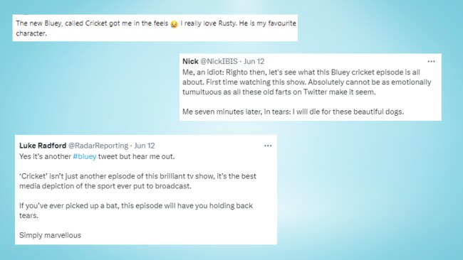 Some of the comments and Tweets about the episode. Image: Facebook / Twitter.