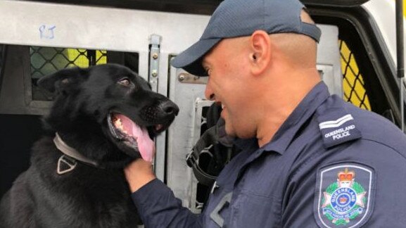 Police dog Bravo is reunited with his handler. Picture: Queensland Police