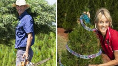 Debbie and Chris Bunker are growing 20,000 Christmas trees on their farm in South Burnett.