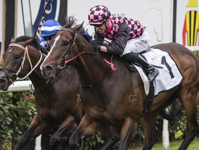 Rothfire and jockey Ben Thompson (centre) win the King of the Mountain for trainer Robert Heathcote at Clifford Park Racecourse, Monday, January 1, 2024. Picture: Kevin Farmer