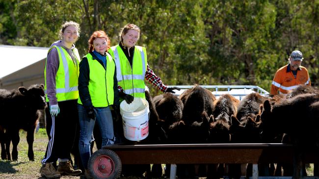 Backpackers Finty McBain from Scotland, Amy Bennett from the UK, and Sarah Drake from Canada are assisting with clean up works in Cudlee Creek. Photo Sam Wundke