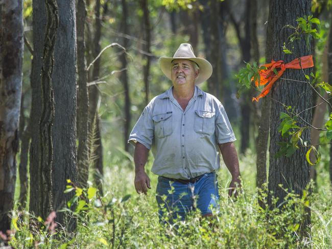 Warren Jonsson from Wombinoo Stationwest of Mt Garnet on Cape York, back in 2016, amongst land he has earmarked for clearing and cropping. Picture: Brian Cassey