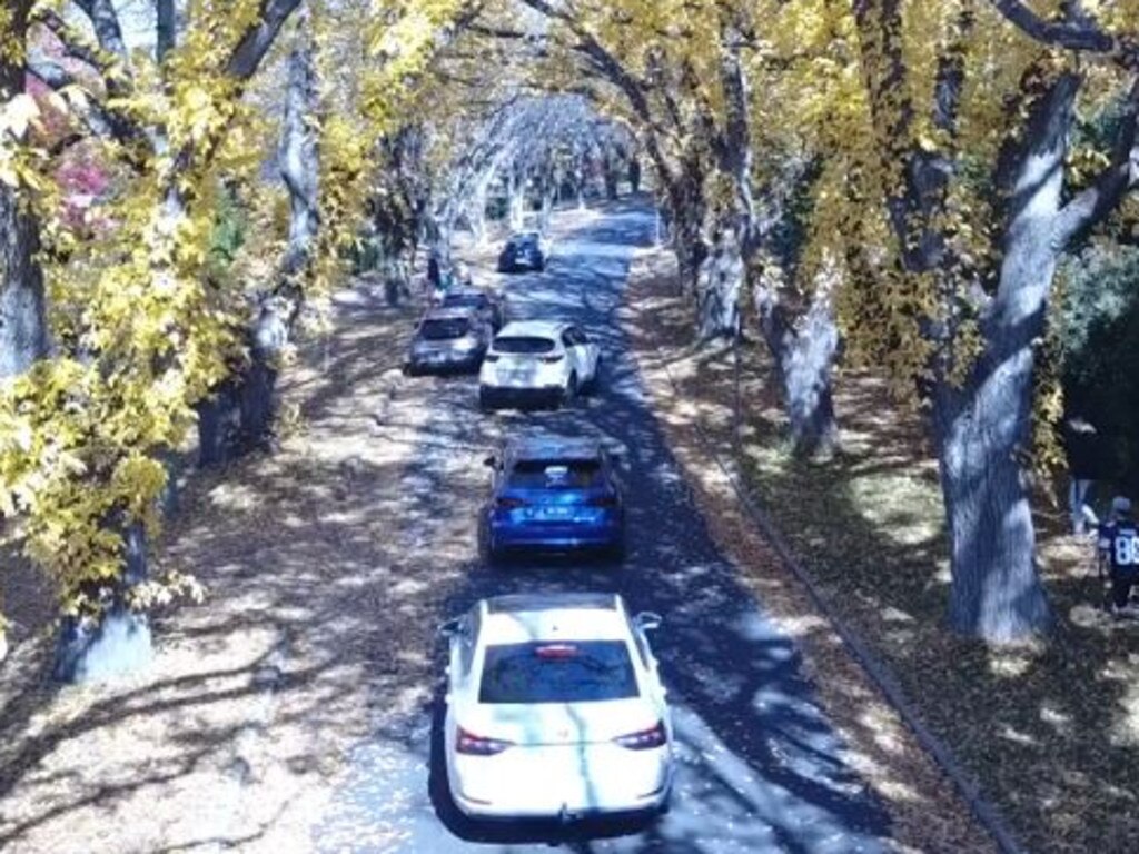 A woman parked her car (blue) in the middle of the road to take photos of it. Picture: Facebook