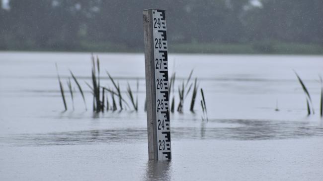 The Clarence River exceeded the 2.1m minor flood level at Grafton in the early afternoon on Wednesday, December 16, 2020. Photo Bill North / The Daily Examiner