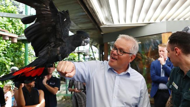 Scott Morrison with Holly the black cockatoo during a visit to the Cairns Zoo &amp; Wildlife Dome on Tuesday. Picture: Brendan Radke