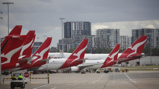 The flying kangaroo is looking at all its options. Picture: Christian Gilles