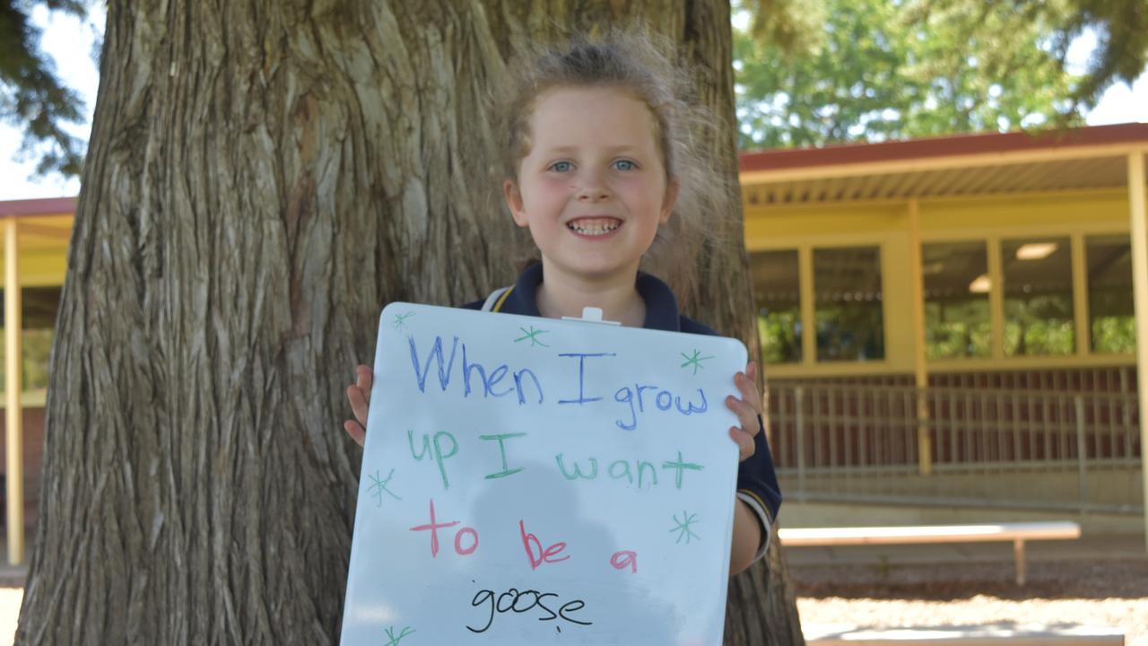 My First Year - South Wagga Public School students say what they would like to be when they grow up . Picture: Sam Turner