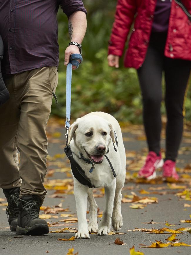 Million Paws Walk in the Adelaide Botanic Gardens, Sunday, May 28, 2023. Picture: Matt Loxton