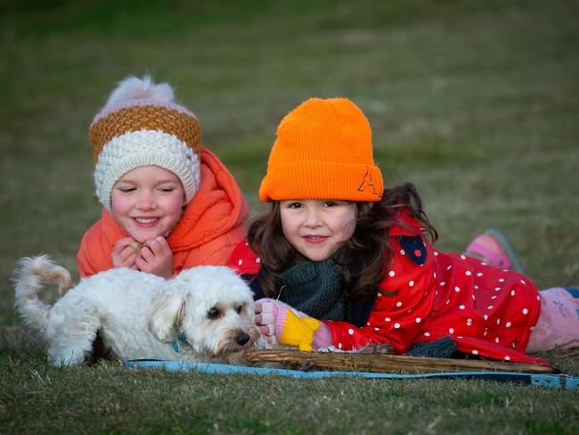 Sydney’s most pet-friendly suburbs revealed