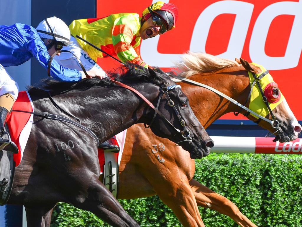 Caulfield Guineas: Mighty Boss (Michael Walker). Picture: Getty Images