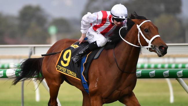 Damien Thornton aboard Toffee Tongue in the Group 1 Schweppes Oaks in May.