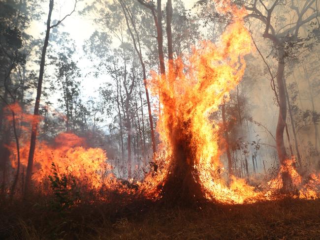 Firefighters battle bushfires in Busbys Flat, northern NSW, Wednesday, October 9, 2019. (AAP Image/Jason O'Brien)