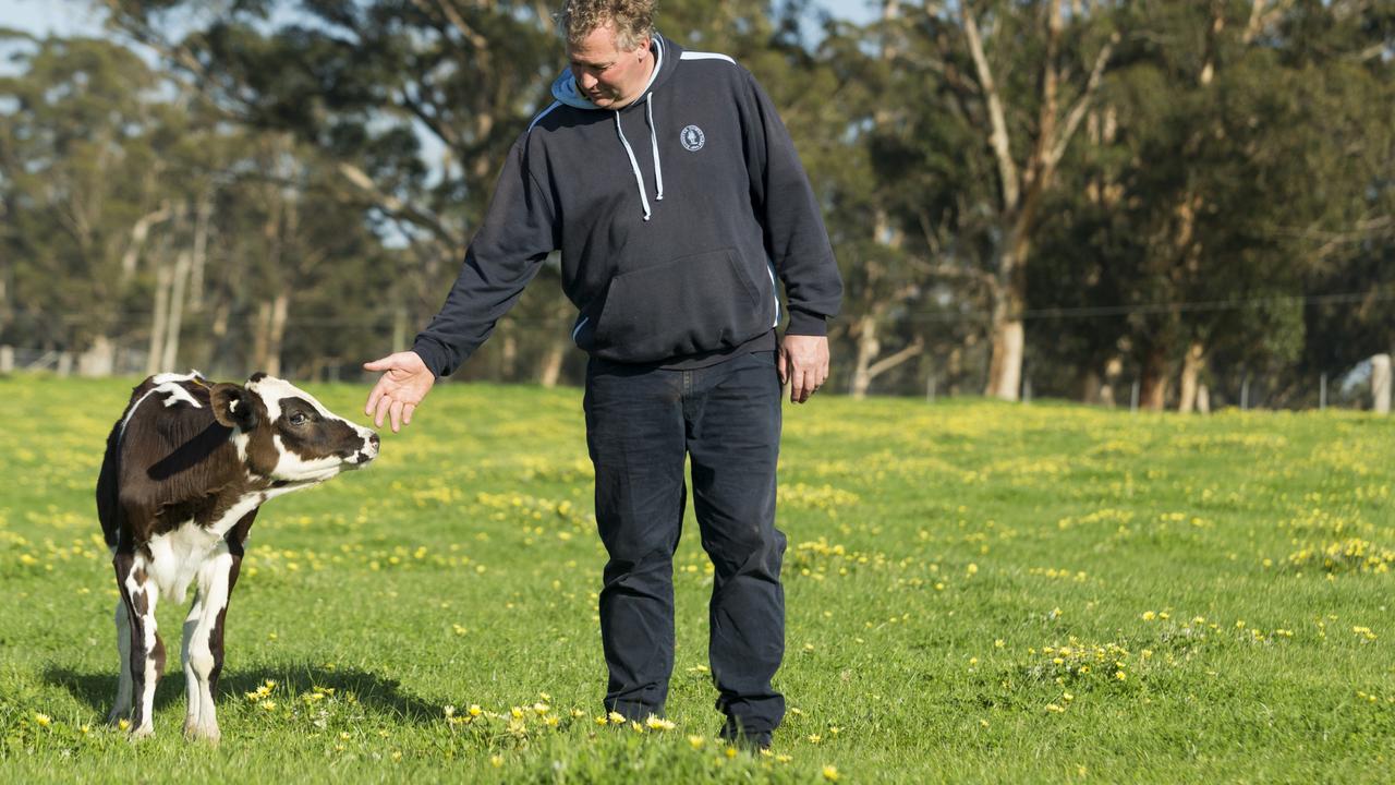 Australian Grand Dairy Award winners revealed