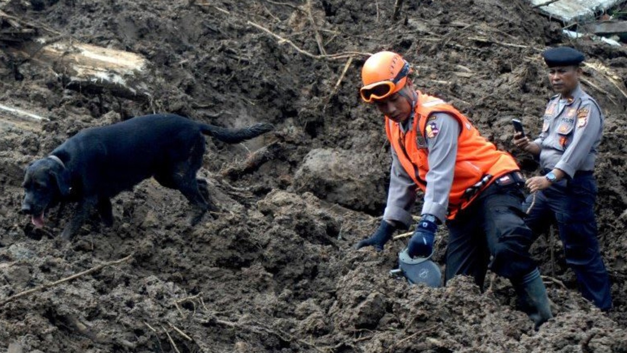 Indonesia gold mine collapse: race to find survivors | news.com.au ...