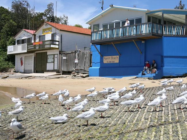 The boat ramp at The Haven at Terrigal near where Ms Howard’s body was found.