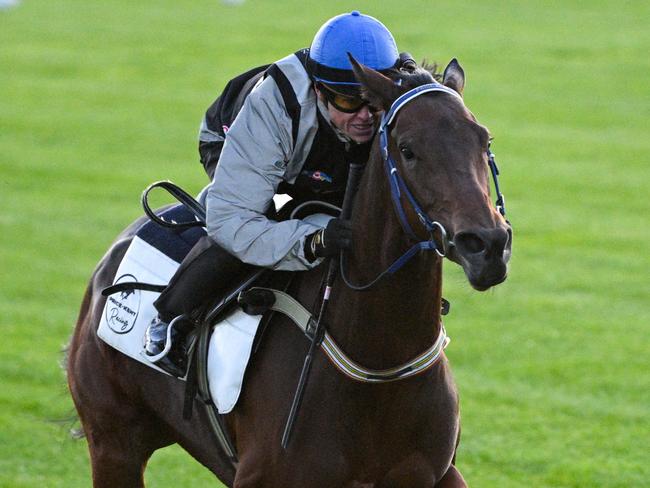 MELBOURNE, AUSTRALIA - OCTOBER 31: Craig Williams riding  Lastotchka during Derby Day Breakfast With The Best gallops at Flemington Racecourse on October 31, 2023 in Melbourne, Australia. (Photo by Vince Caligiuri/Getty Images)