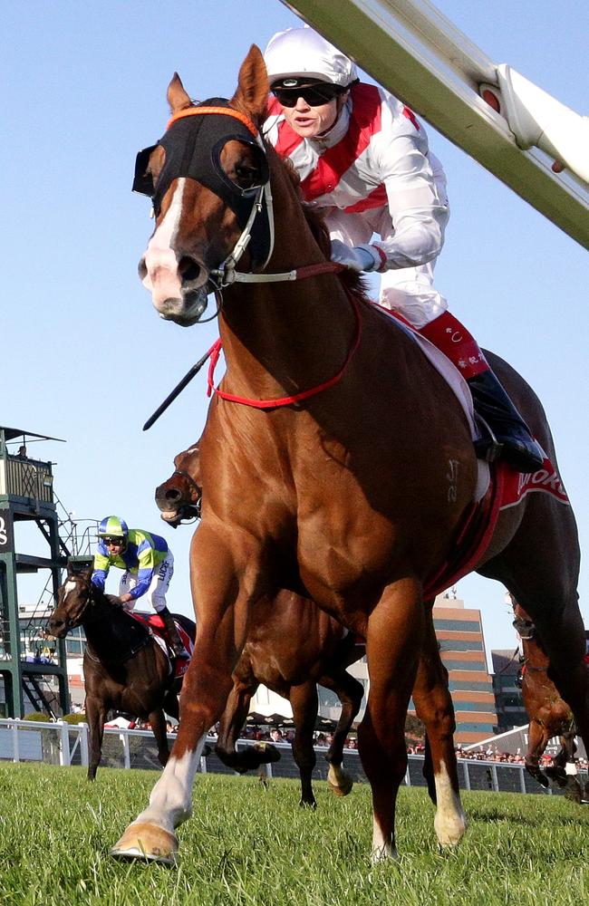 Jockey Craig Williams sends Star Turn to the post to win the Schillaci Stakes. Picture: Mark Dadswell