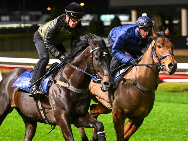 MELBOURNE, AUSTRALIA - JULY 25: Mark Zahra riding Gold Trip against Ethan Brown riding Sir Davy (r) during track gallops at Moonee Valley Racecourse on July 25, 2023 in Melbourne, Australia. (Photo by Vince Caligiuri/Getty Images)