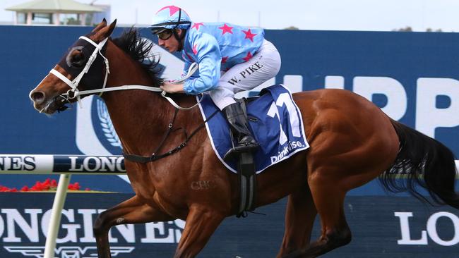 Naval Seal can bounce back after a luckless run last start. Picture: Grant Guy